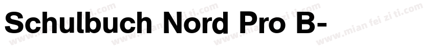 Schulbuch Nord Pro B字体转换